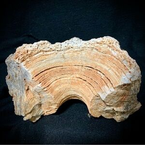 🪨 Banded Calcite / Aragonite Stalactite Section – Natural Arch Formation